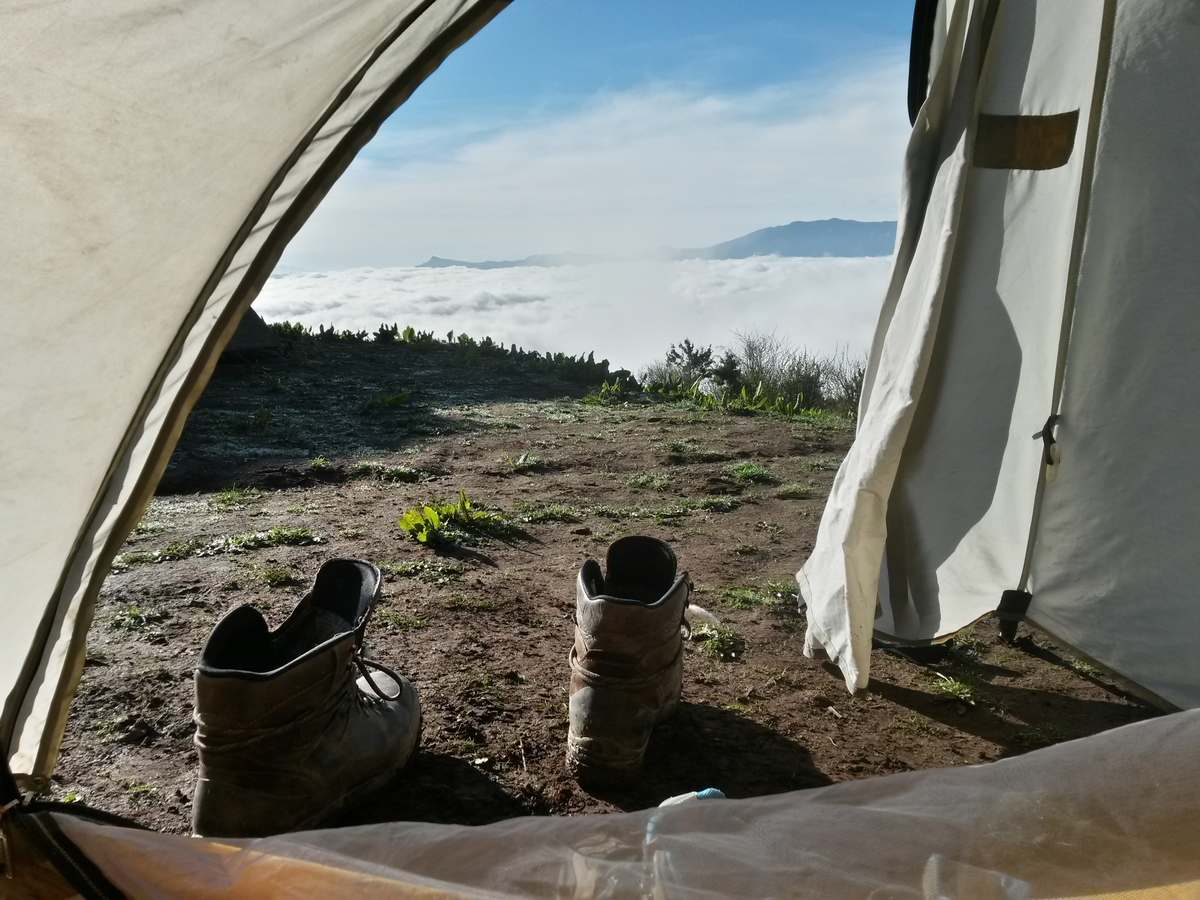 view from the tent